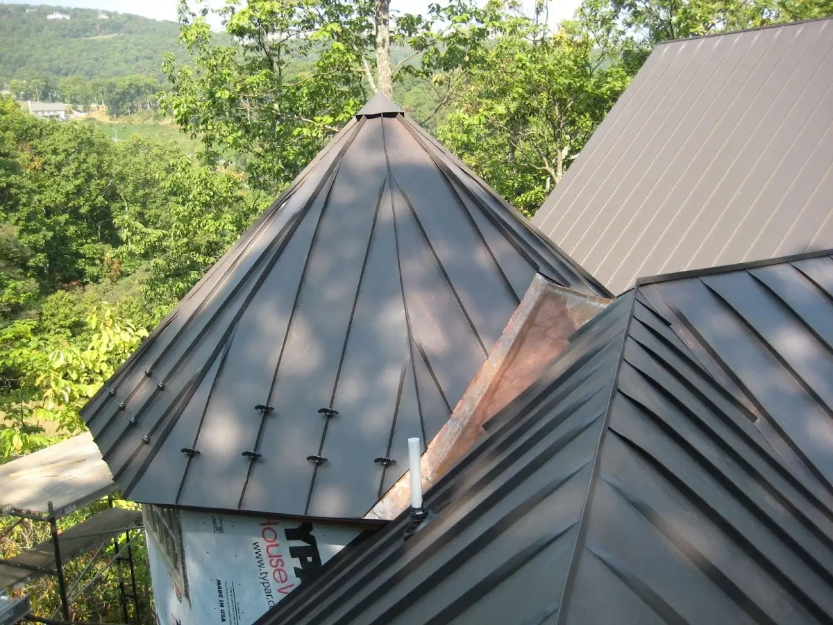 Professional Gutter Cleaning by Craftsman Roofing in Lodi